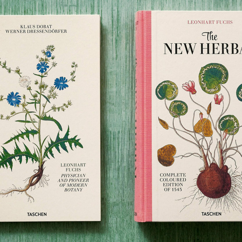 
                      
                        Leonhart Fuchs. The New Herbal (English)
                      
                    
