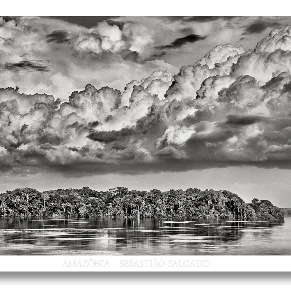 
                      
                        Sebastião Salgado. Amazônia. Poster ‘Parana’
                      
                    