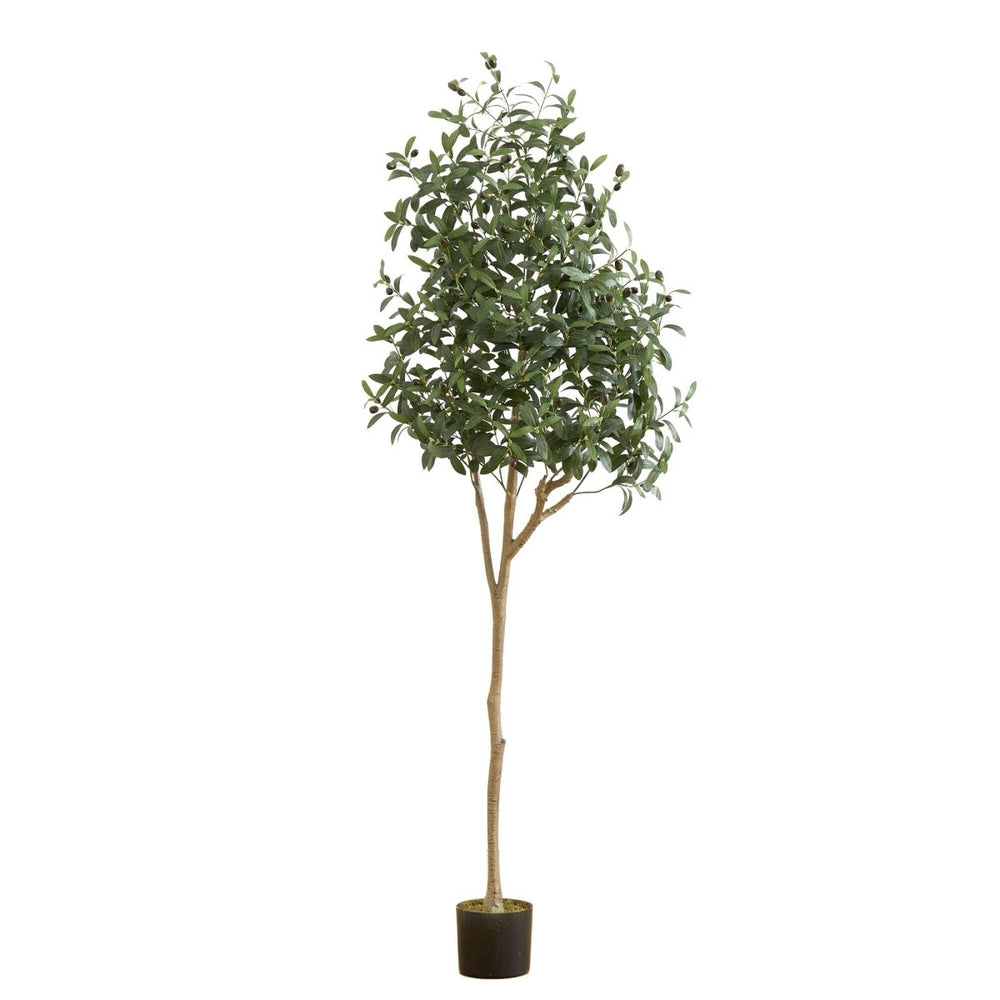 
                      
                        Nearly Natural 6’ Artificial Olive Tree - lily & onyx
                      
                    