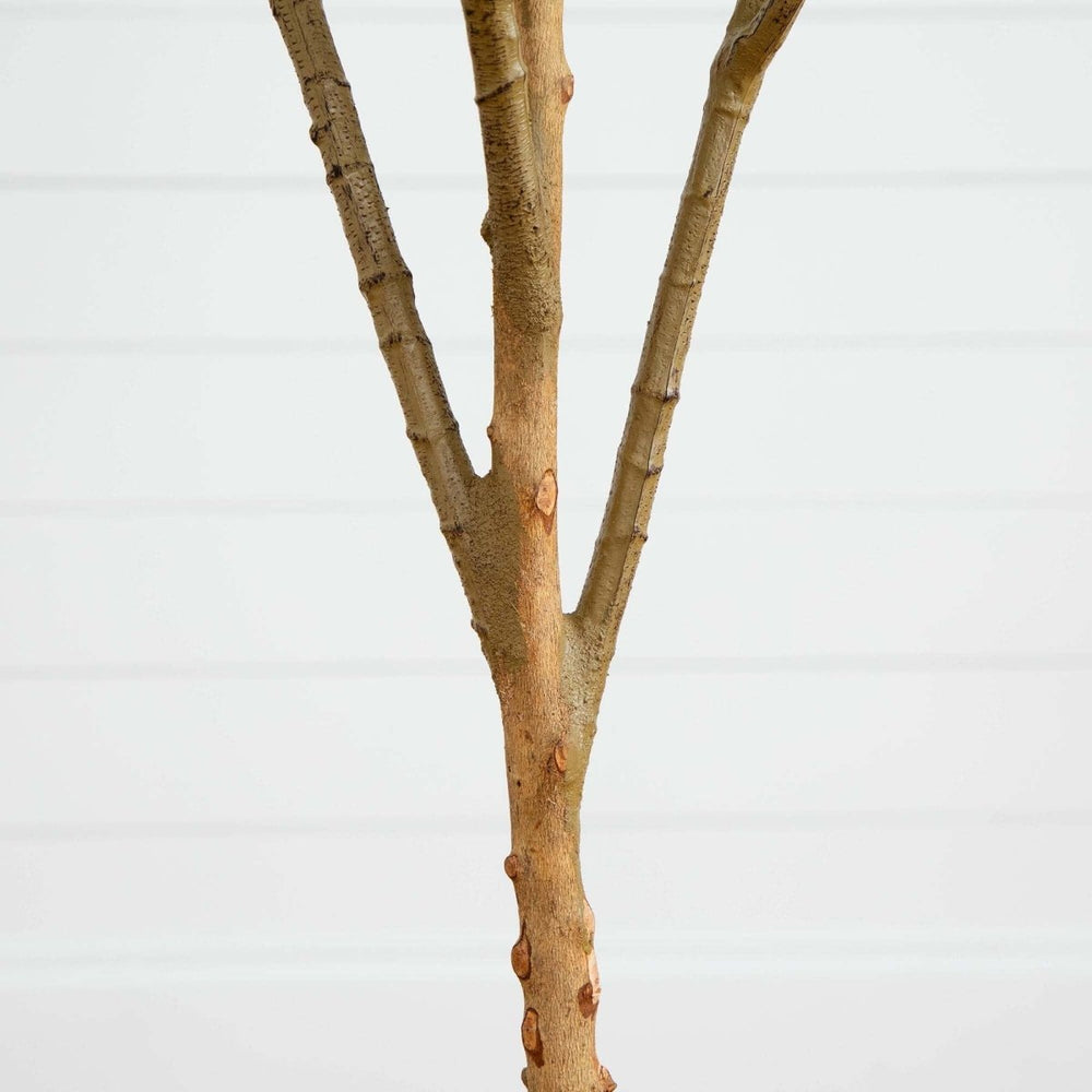 
                      
                        Nearly Natural 6’ Artificial Olive Tree with Natural Trunk - lily & onyx
                      
                    