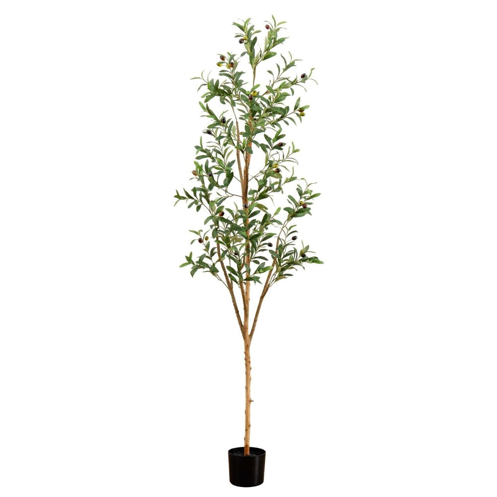 
                      
                        Nearly Natural 6’ Artificial Olive Tree with Natural Trunk - lily & onyx
                      
                    