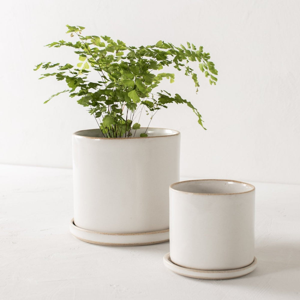 
                      
                        CONVIVIAL 6" Minimal Planter | Glazed Stoneware - lily & onyx
                      
                    