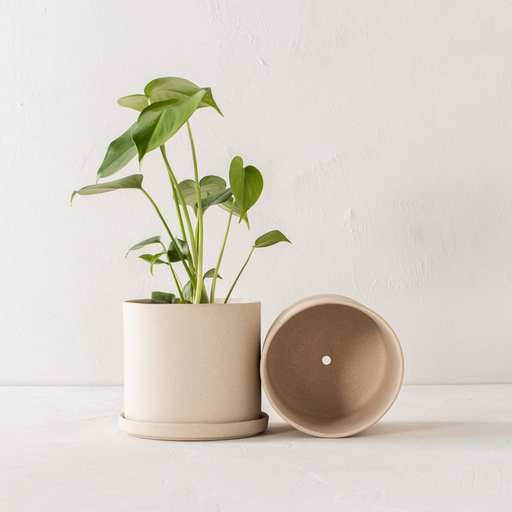 CONVIVIAL 6" Minimal Planter | Raw Stoneware - lily & onyx