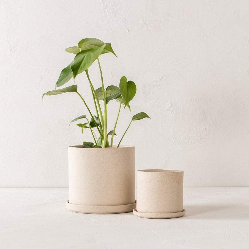 
                      
                        CONVIVIAL 6" Minimal Planter | Raw Stoneware - lily & onyx
                      
                    