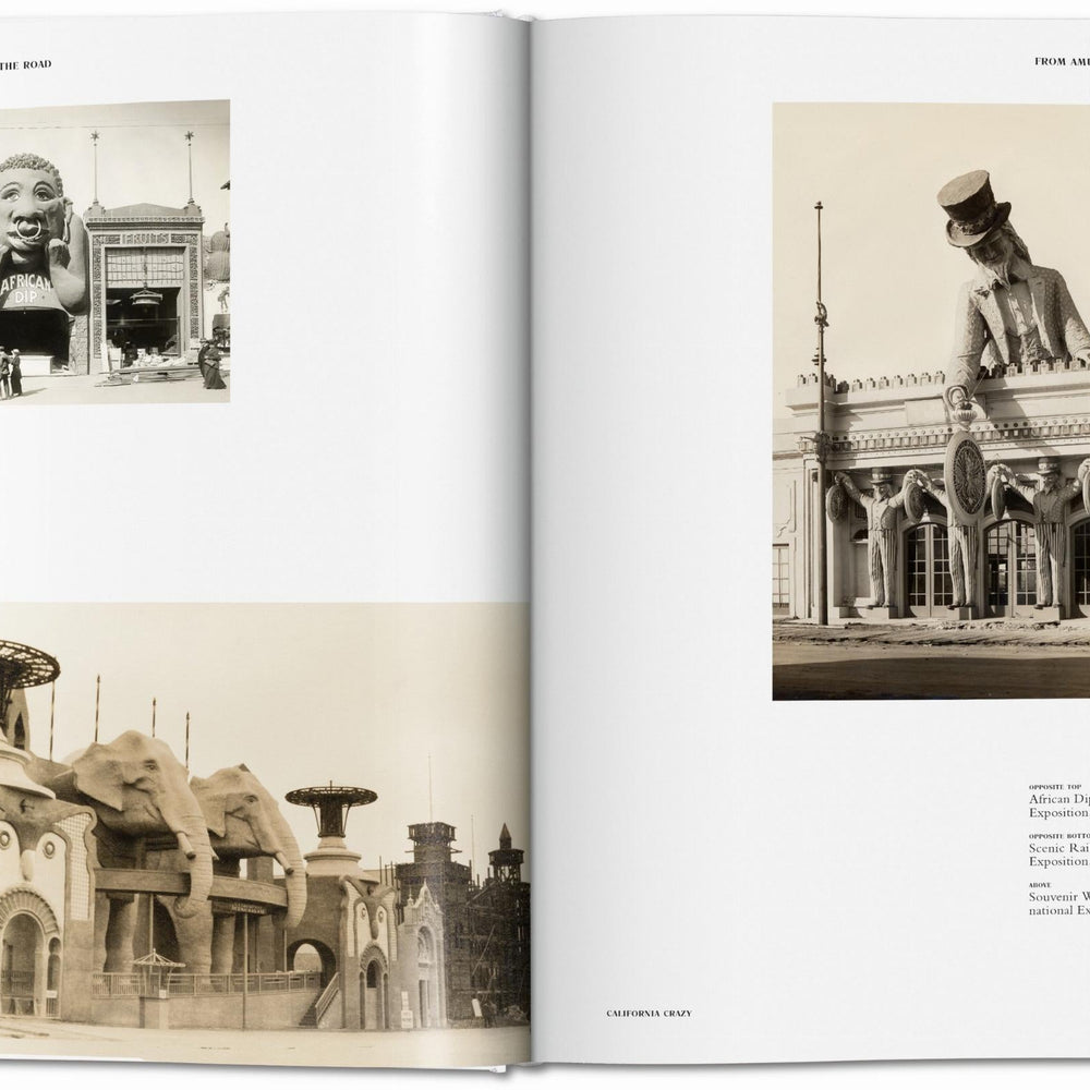 
                      
                        California Crazy. American Pop Architecture (English)
                      
                    