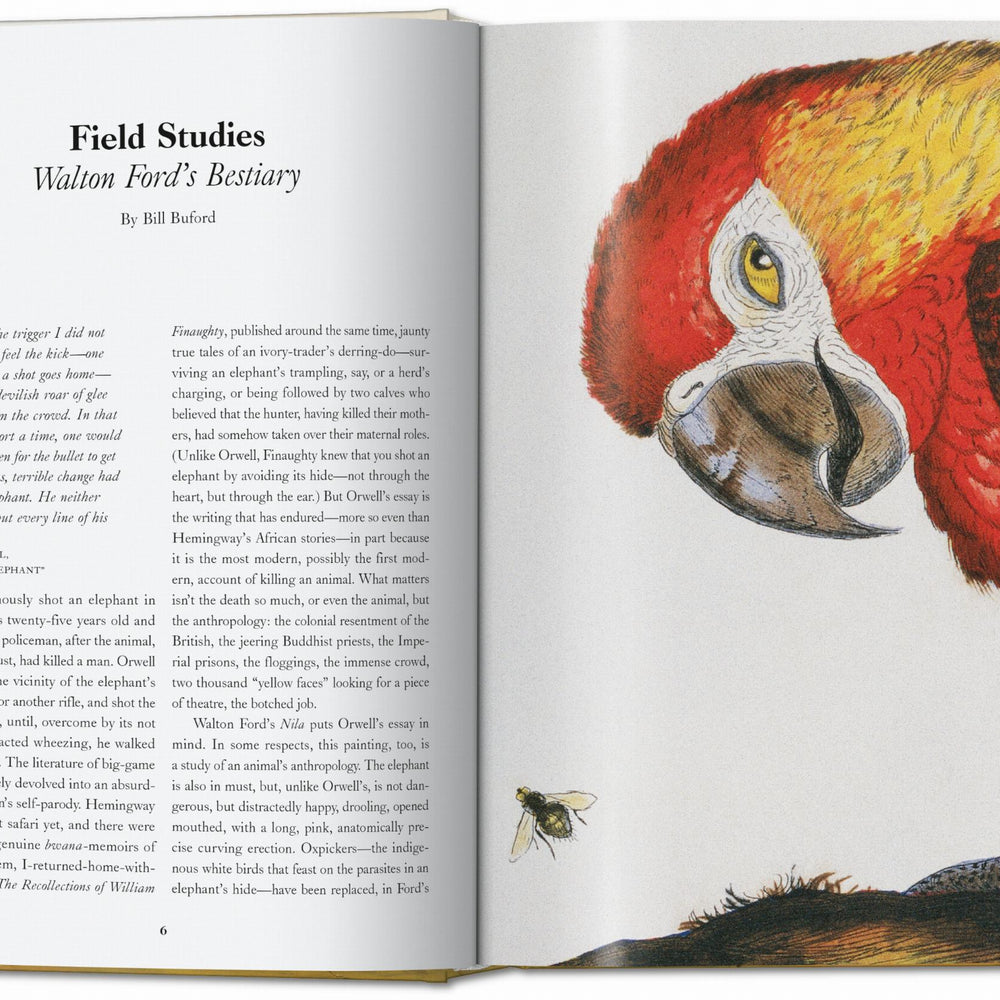 
                      
                        Walton Ford. 40th Ed. (German, French, English)
                      
                    