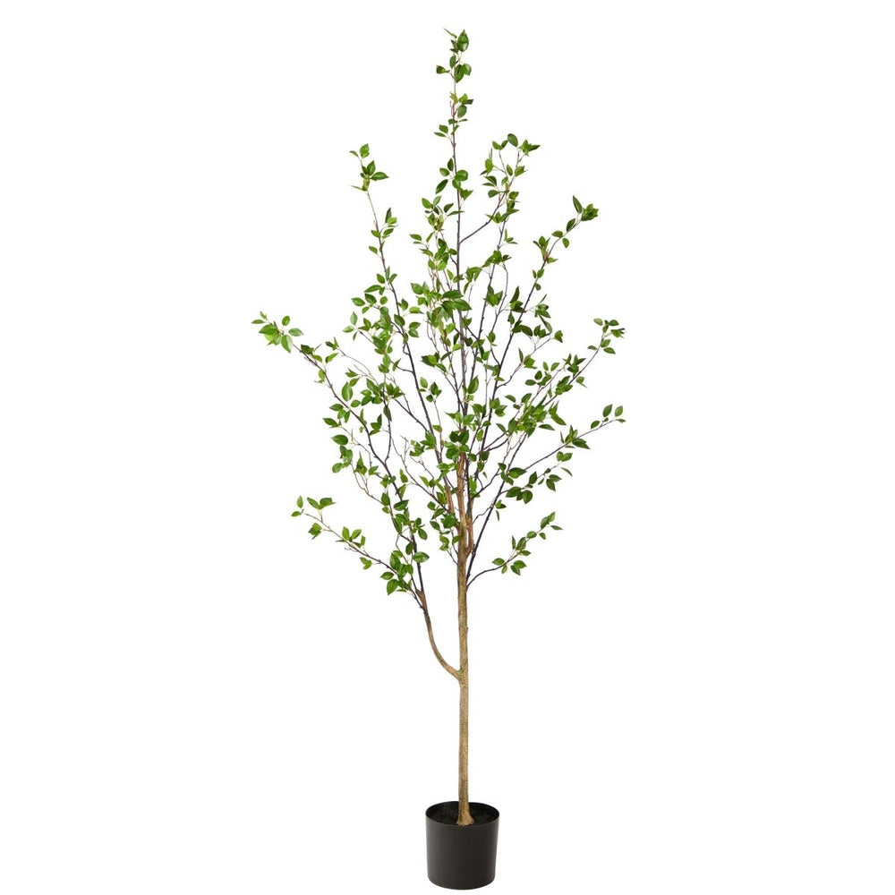 Nearly Natural 6.5' Minimalist Citrus Tree - lily & onyx