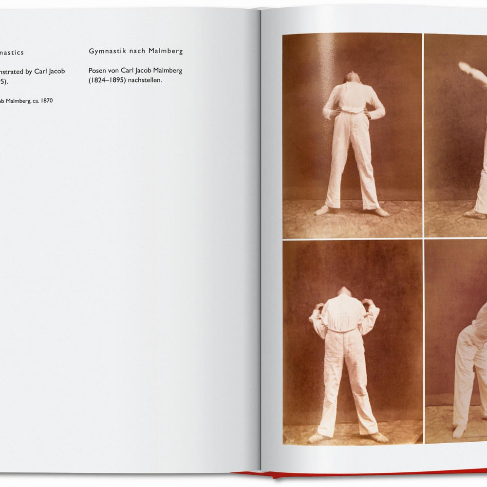 
                      
                        Carsten Höller. Book of Games (German, French, English)
                      
                    