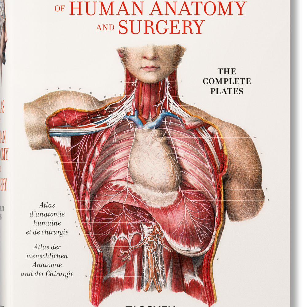 Bourgery. Atlas de anatomía humana y cirugía (Spanish, Italian, Portuguese)