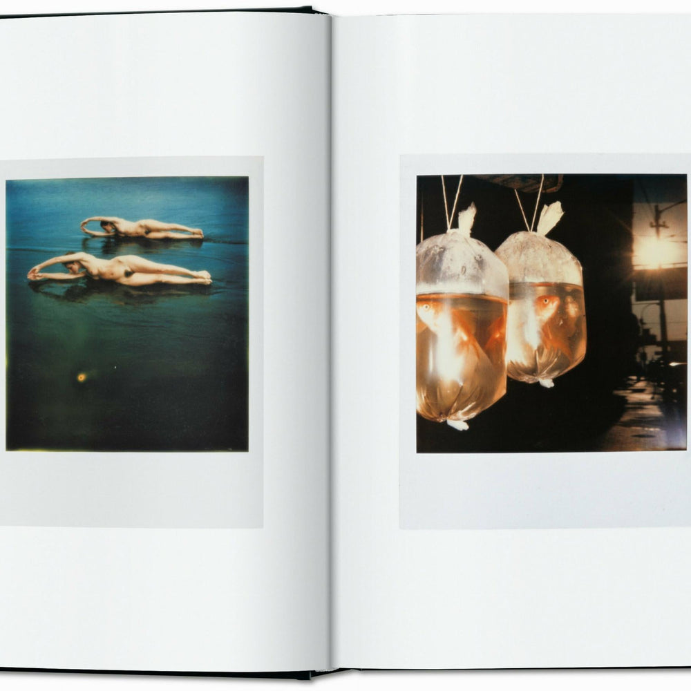 
                      
                        The Polaroid Book. 40th Ed. (German, French, English)
                      
                    