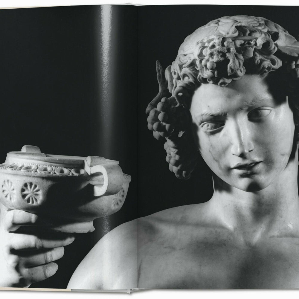 Michel-Ange. L'œuvre complet. Peinture, sculpture, architecture (French)