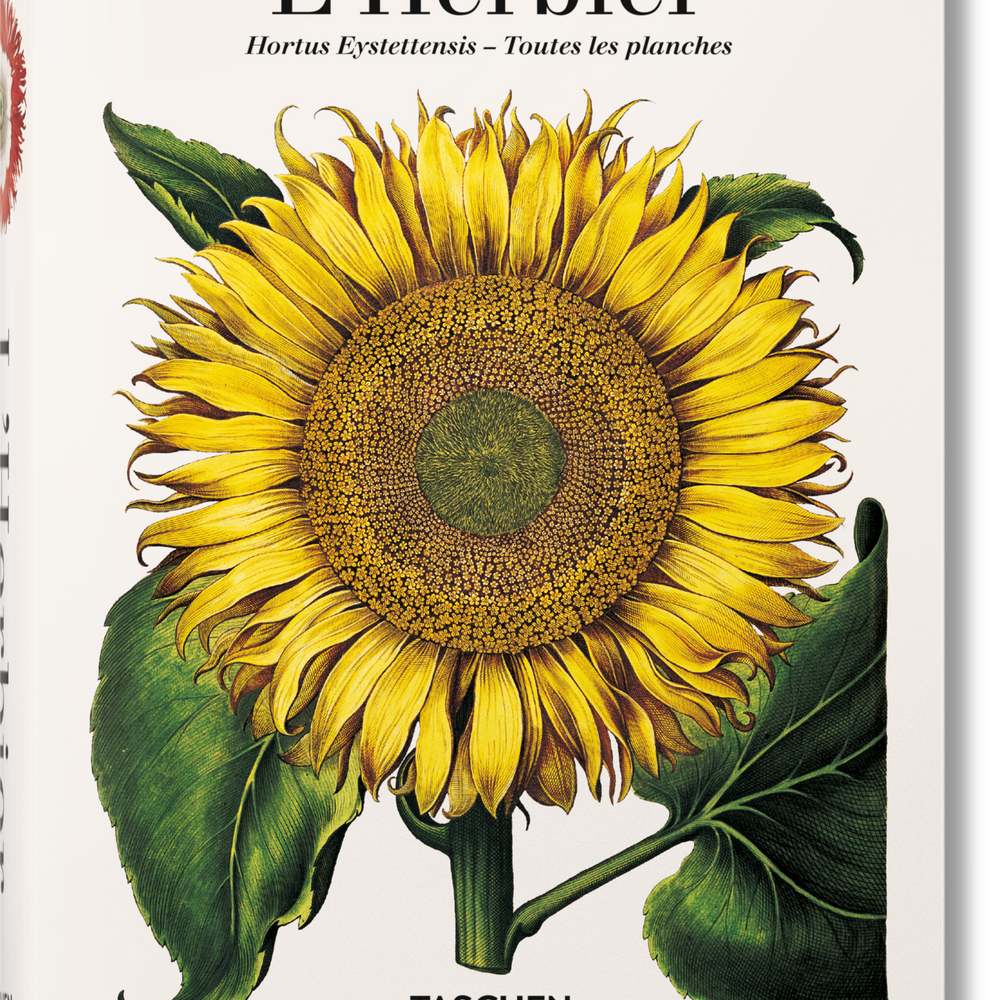
                      
                        Basilius Besler. L'Herbier. Hortus Eystettensis (French)
                      
                    