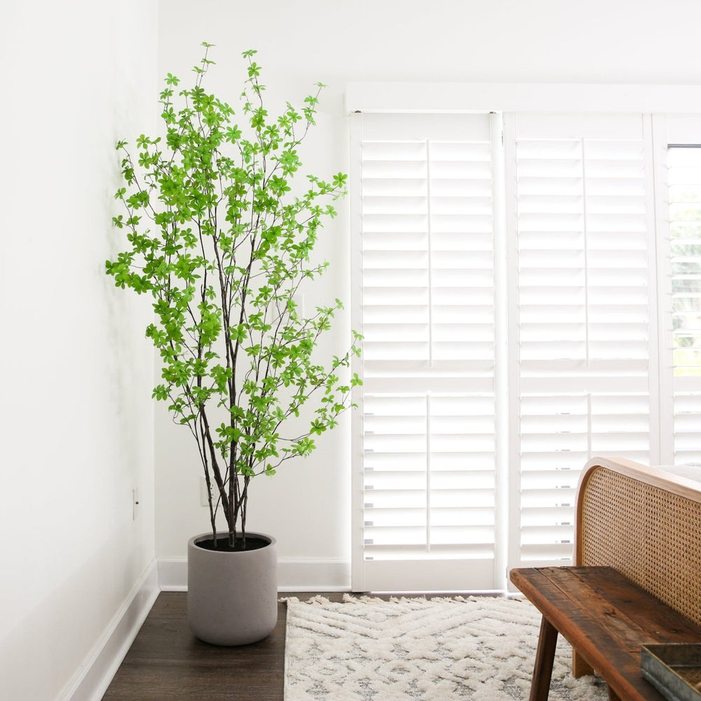 
                      
                        Nearly Natural 7’ Artificial Enkianthus Tree with Resin Stone Planter - lily & onyx
                      
                    