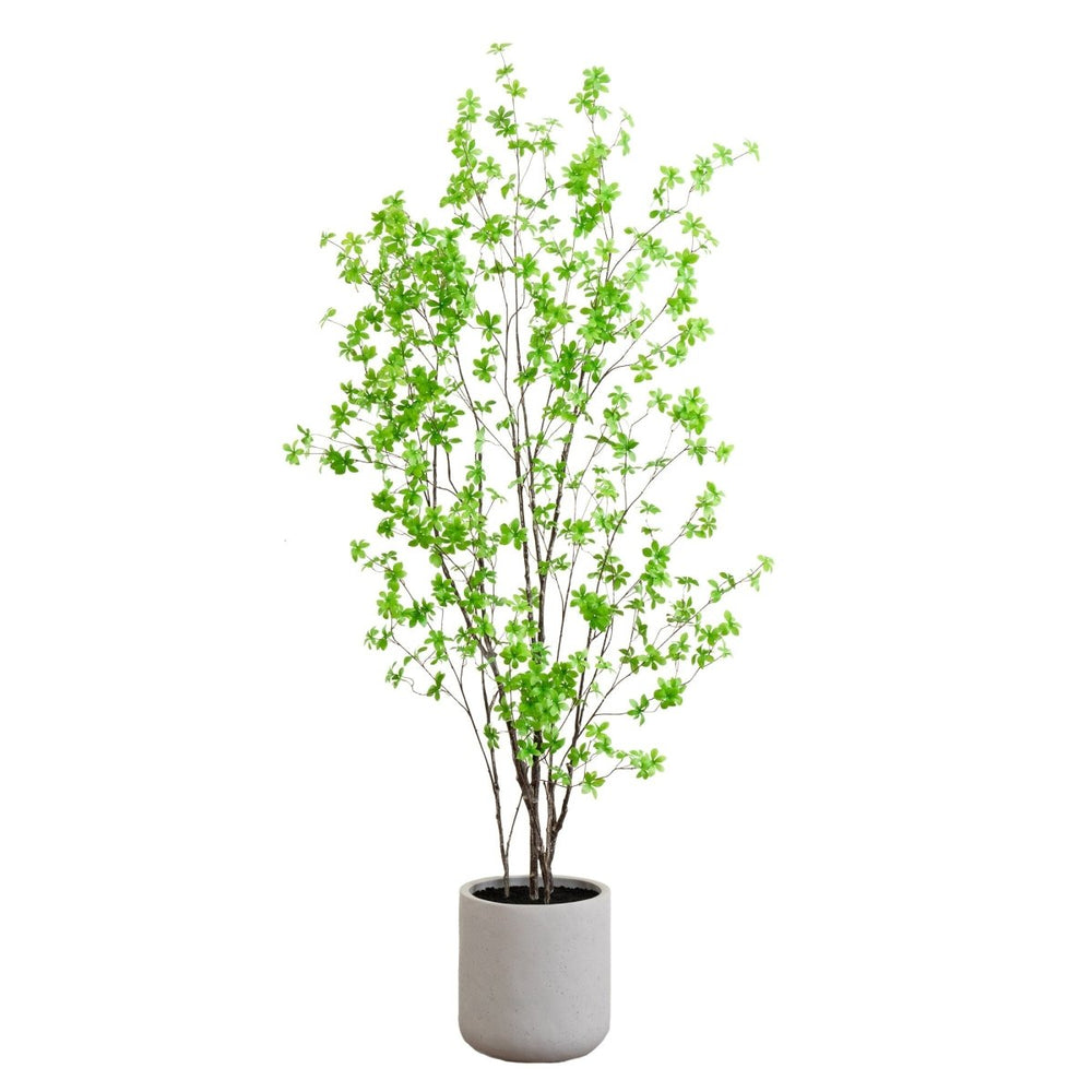 
                      
                        Nearly Natural 7’ Artificial Enkianthus Tree with Resin Stone Planter - lily & onyx
                      
                    