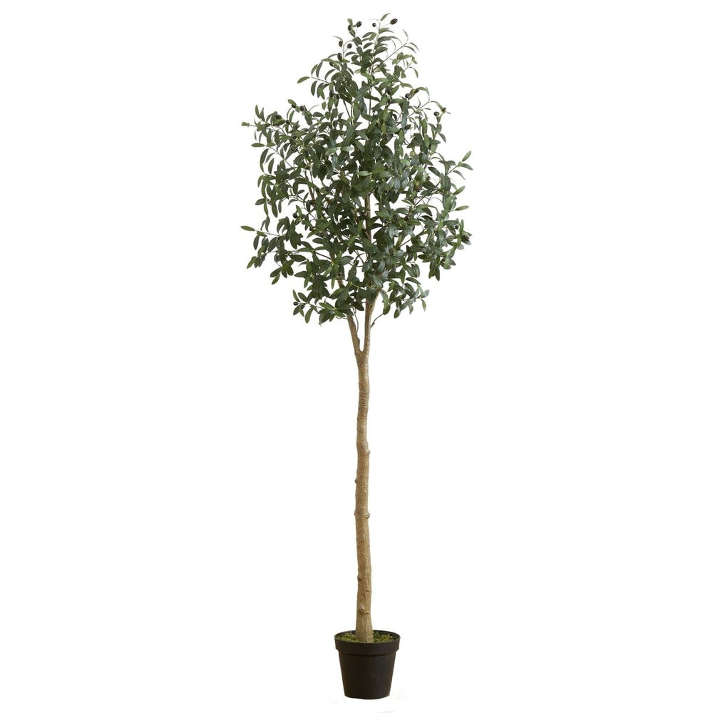 
                      
                        Nearly Natural 7’ Artificial Olive Tree - lily & onyx
                      
                    