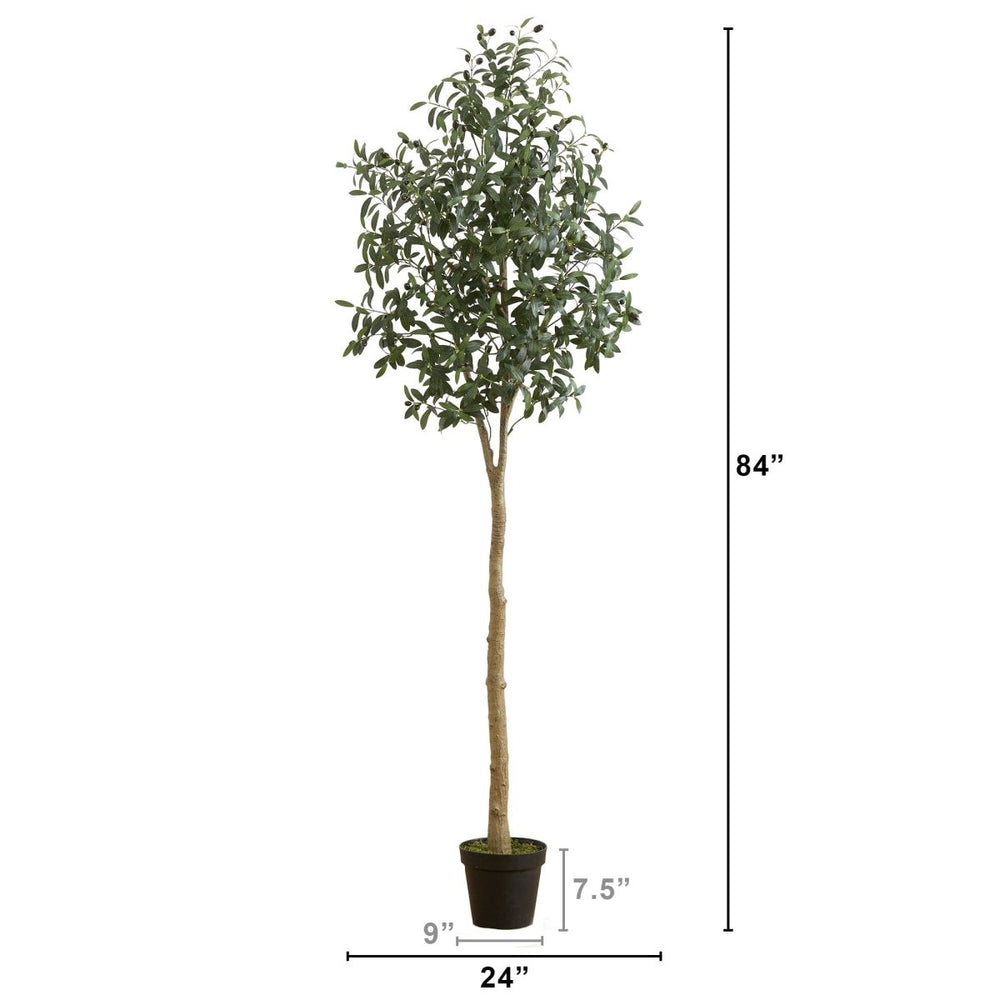 
                      
                        Nearly Natural 7’ Artificial Olive Tree - lily & onyx
                      
                    