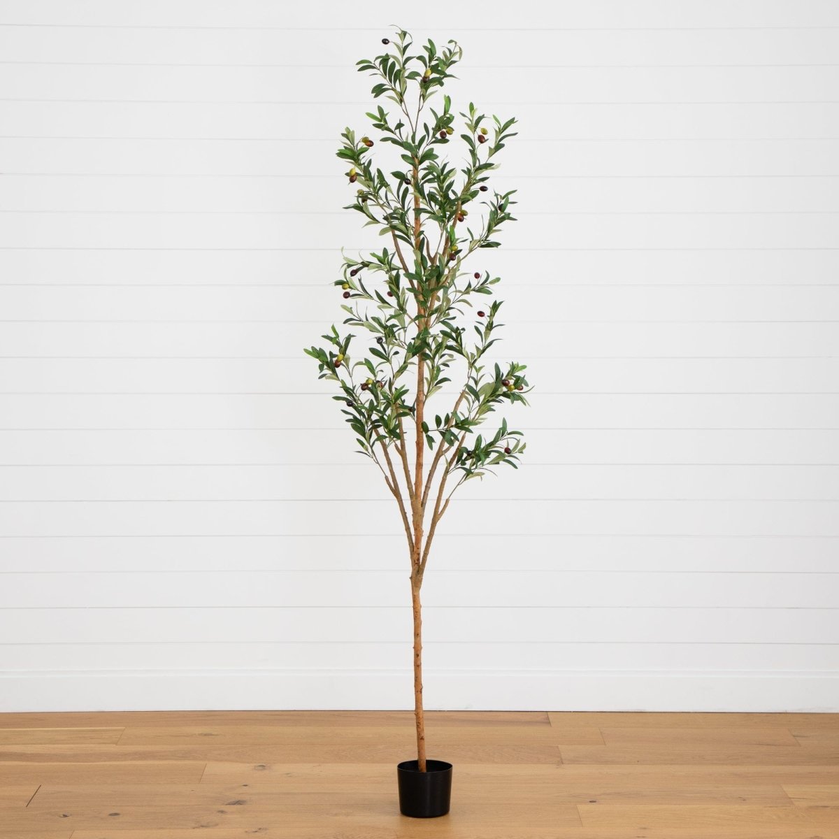 Nearly Natural 7' Artificial Olive Tree with Natural Trunk - lily & onyx