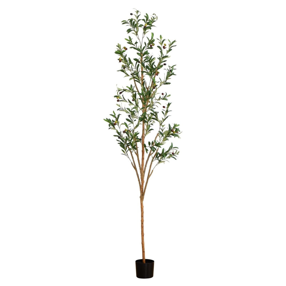 
                      
                        Nearly Natural 7' Artificial Olive Tree with Natural Trunk - lily & onyx
                      
                    