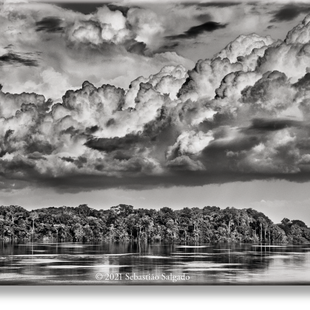 Sebastião Salgado. Amazônia. Magnet ‘Parana’