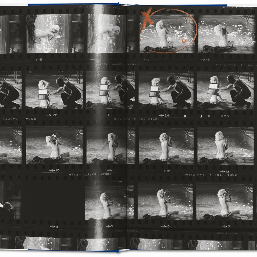 
                      
                        Lawrence Schiller. Marilyn & Me (English)
                      
                    