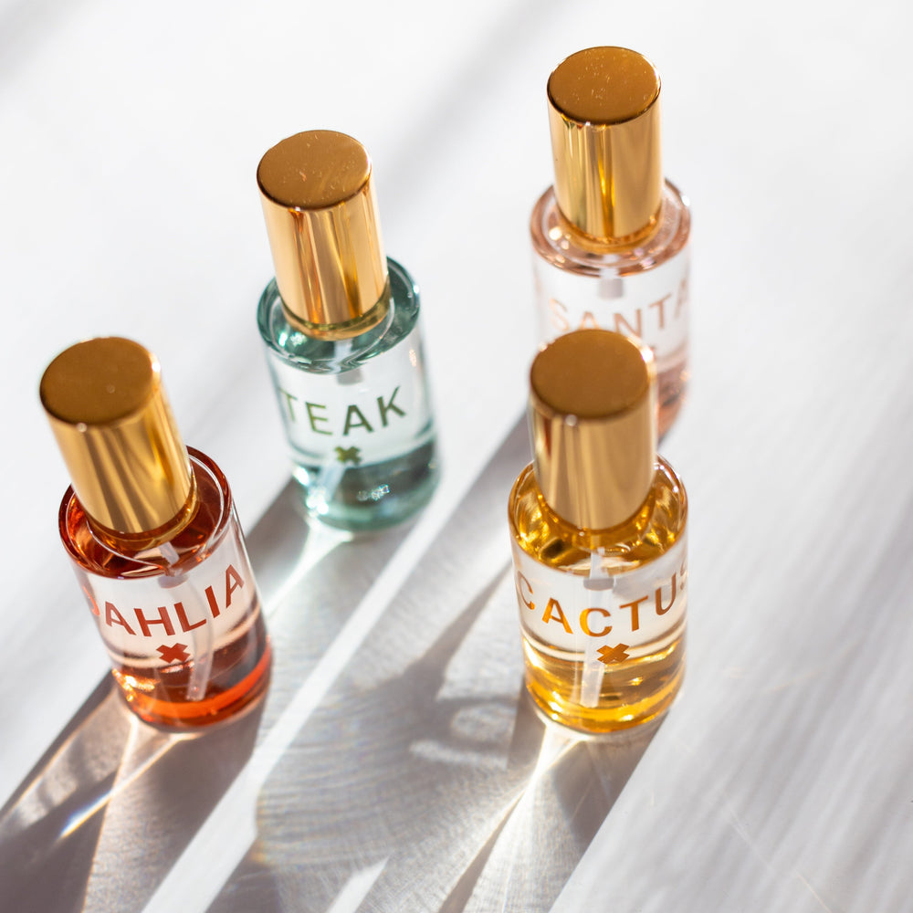 
                      
                        Dahlia Fragrance
                      
                    