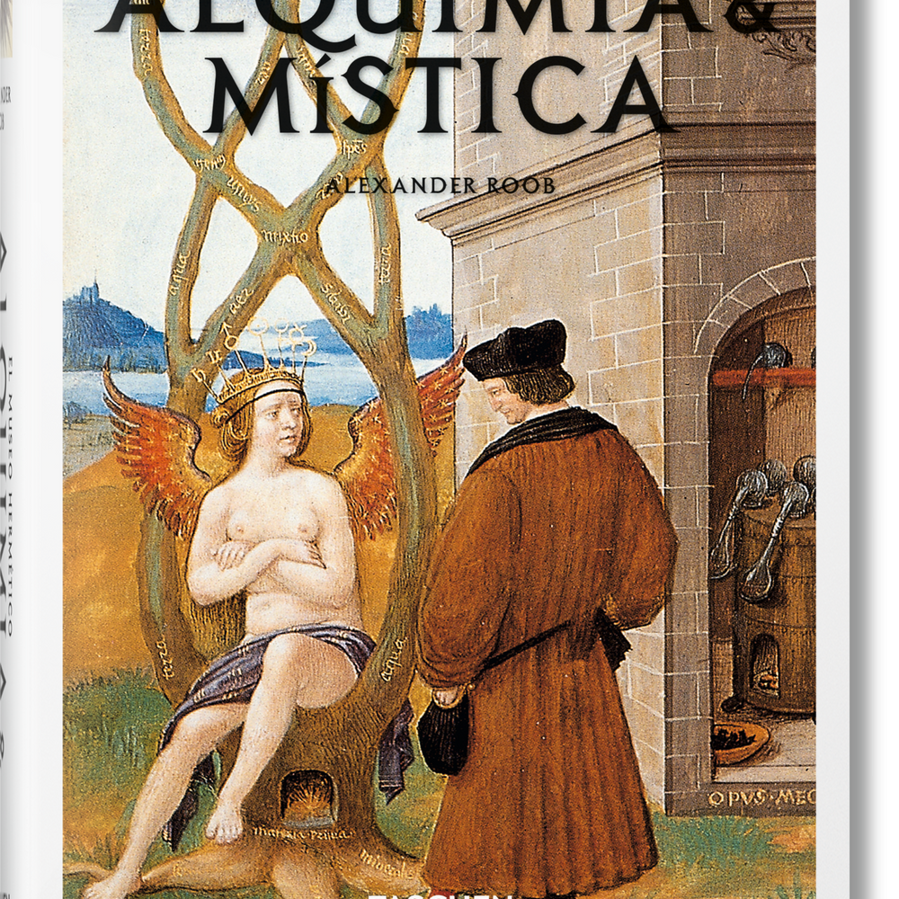 Alquimia & mística (Spanish)