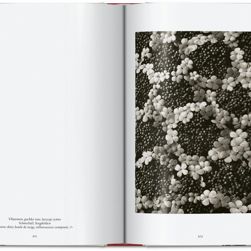 
                      
                        Karl Blossfeldt. The Complete Published Work. 40th Ed. (German, French, English)
                      
                    