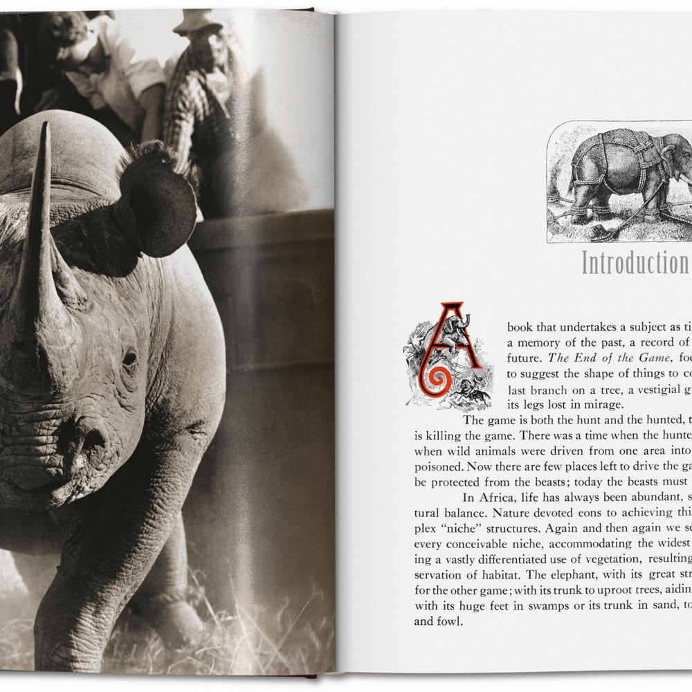 
                      
                        Peter Beard. The End of the Game. Revisited 2020 Edition (English)
                      
                    