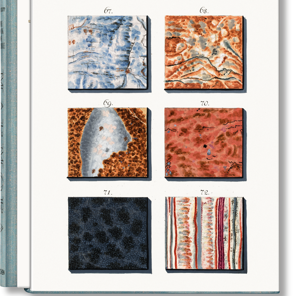 Jan Christiaan Sepp. The Book of Marble (German, French, English) (FFE)