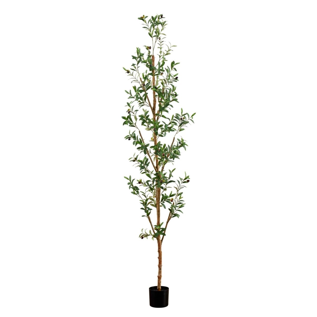 Nearly Natural 8' Artificial Olive Tree with Natural Trunk - lily & onyx