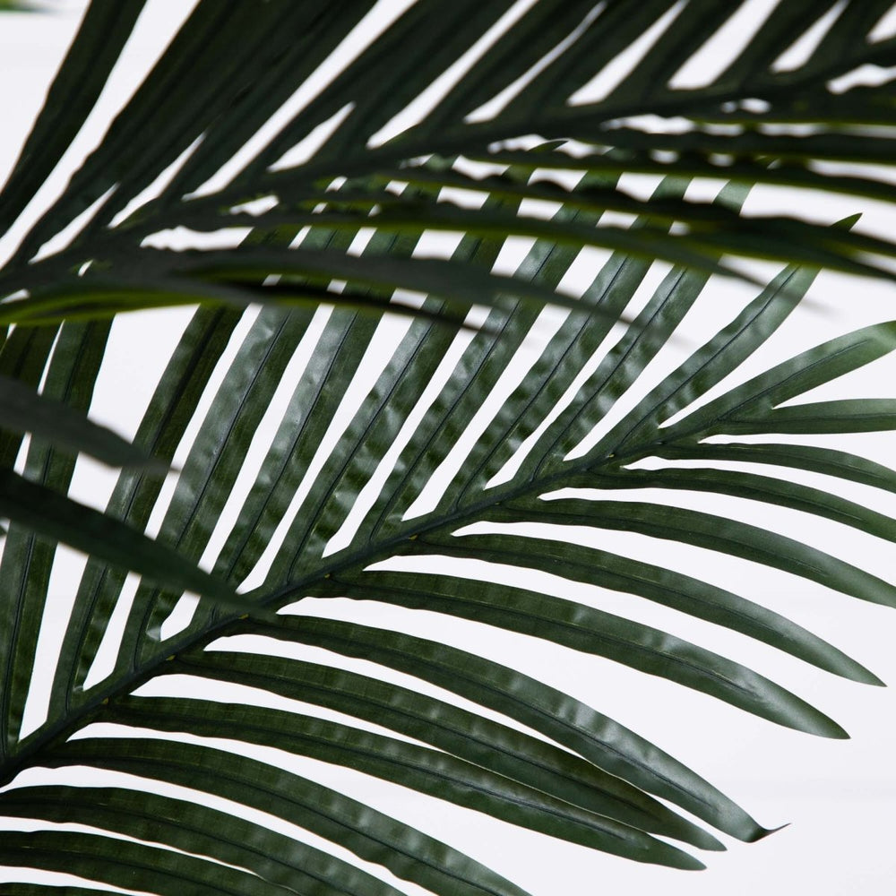 
                      
                        Nearly Natural 8’ Golden Cane Artificial Palm Tree in Handmade Natural Cotton Planter - lily & onyx
                      
                    