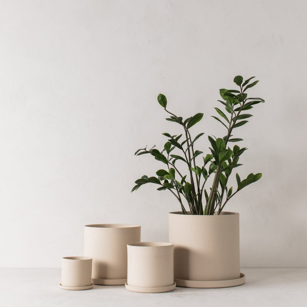 
                      
                        CONVIVIAL 8" Minimal Planter | Raw Stoneware - lily & onyx
                      
                    