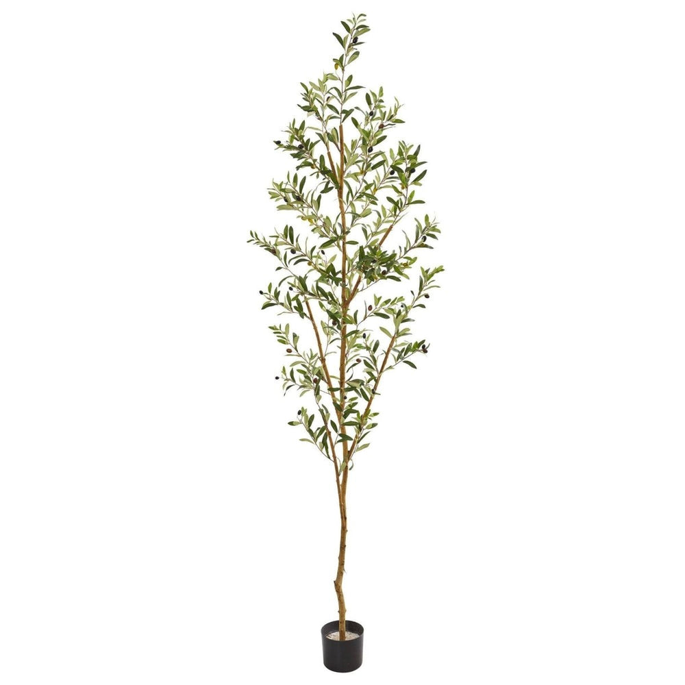 
                      
                        Nearly Natural 82” Artificial Olive Tree - lily & onyx
                      
                    