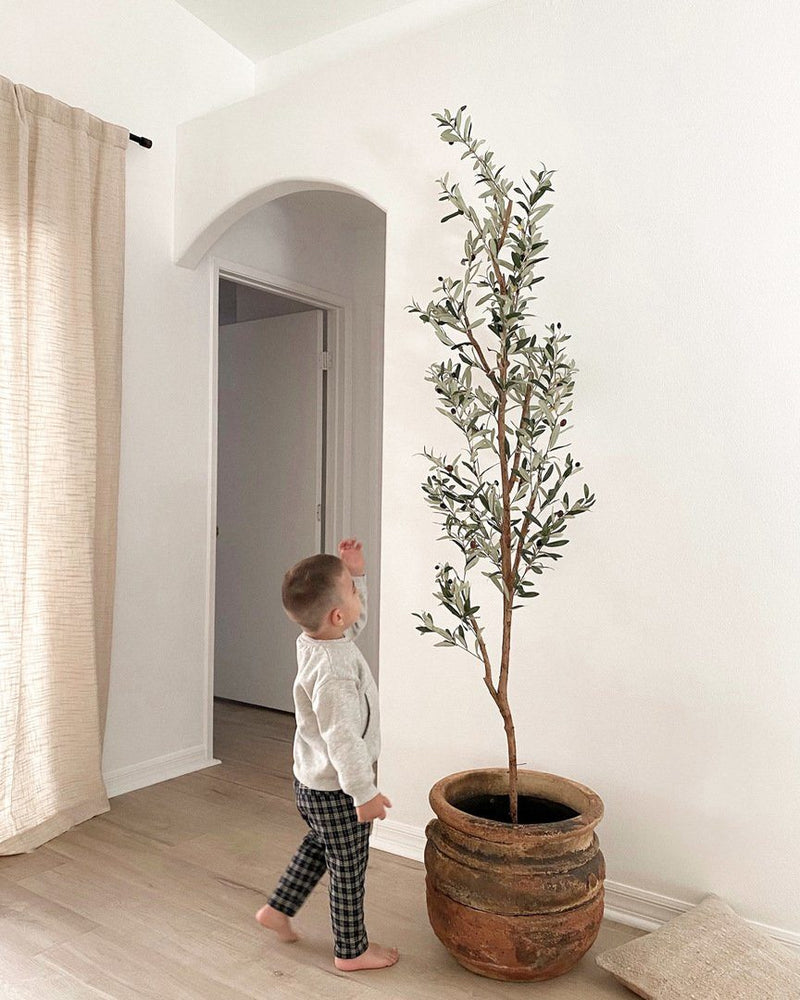 
                      
                        Nearly Natural 82” Artificial Olive Tree - lily & onyx
                      
                    