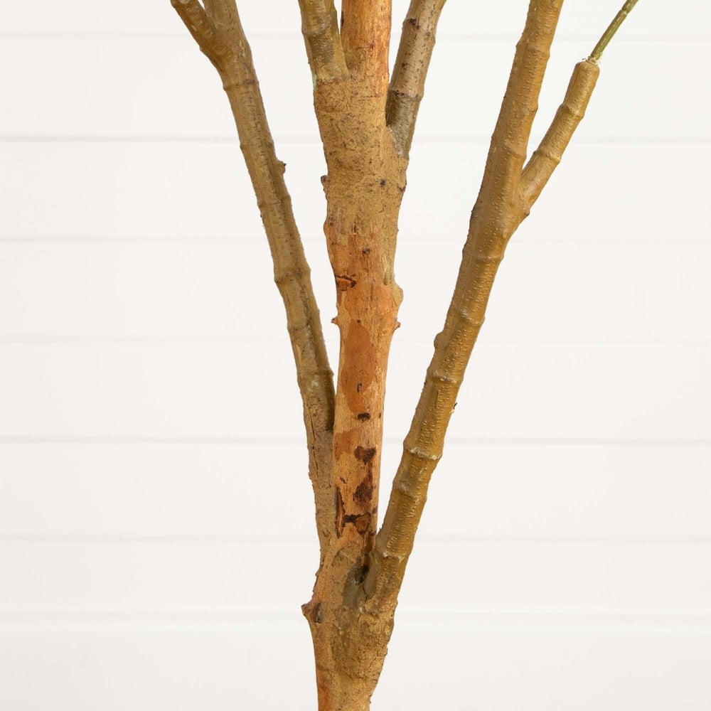 
                      
                        Nearly Natural 82” Artificial Olive Tree - lily & onyx
                      
                    