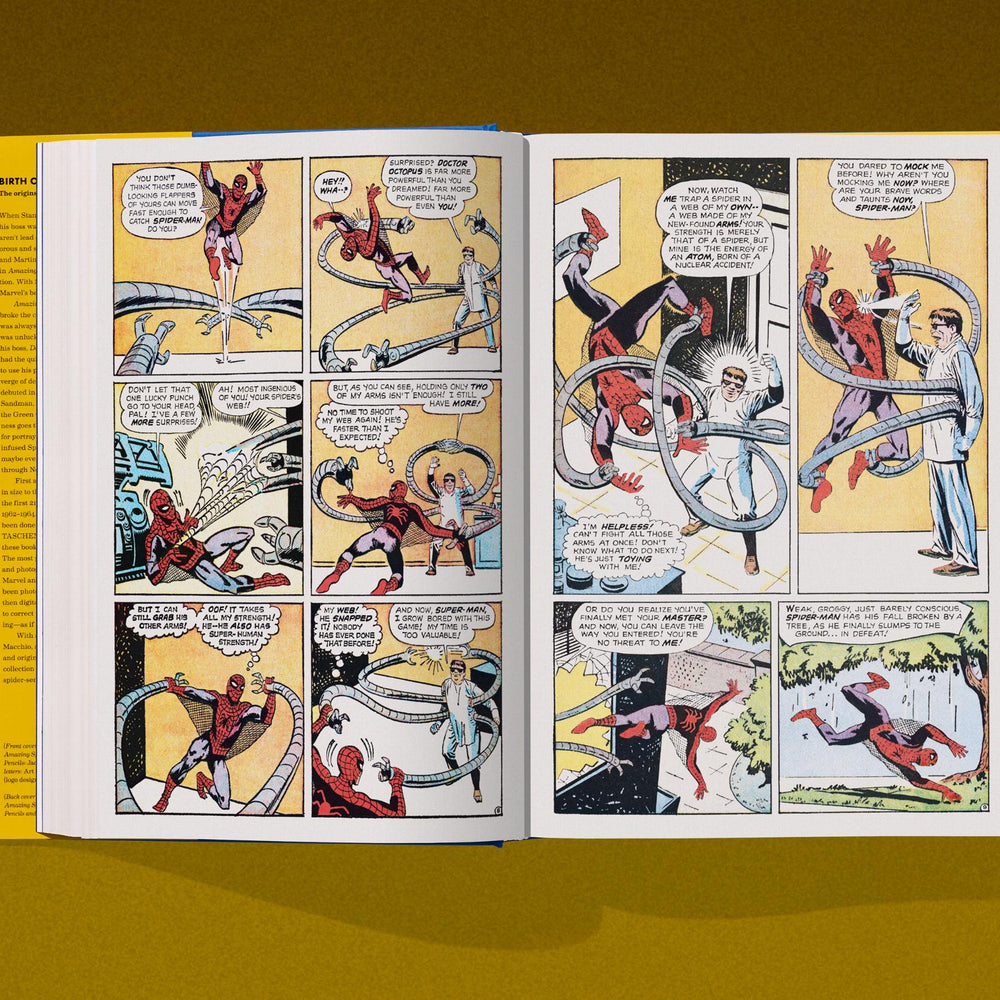 
                      
                        Marvel Comics Library. Spider-Man. 1962–1964 (English)
                      
                    