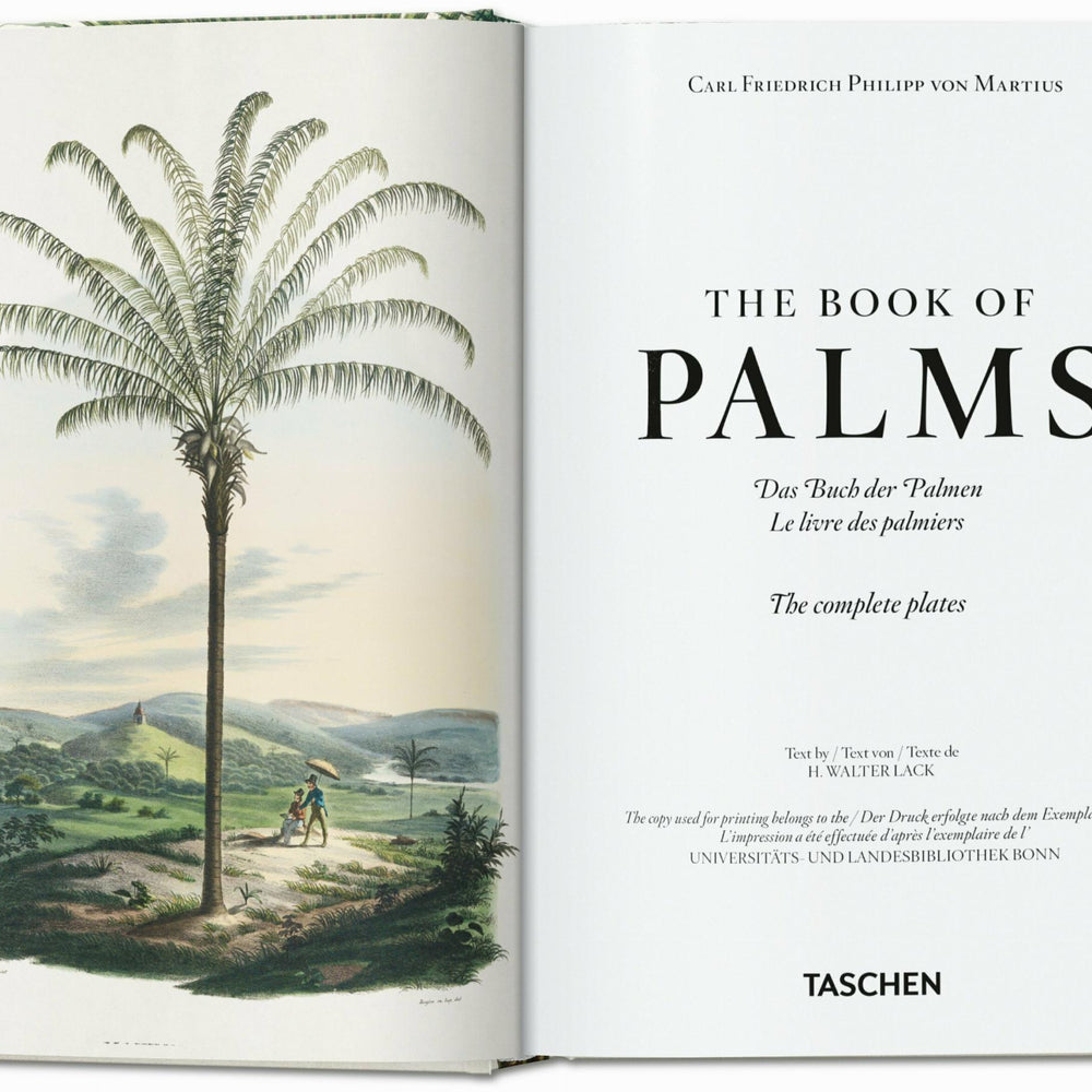 
                      
                        Martius. The Book of Palms. 40th Ed. (German, French, English)
                      
                    