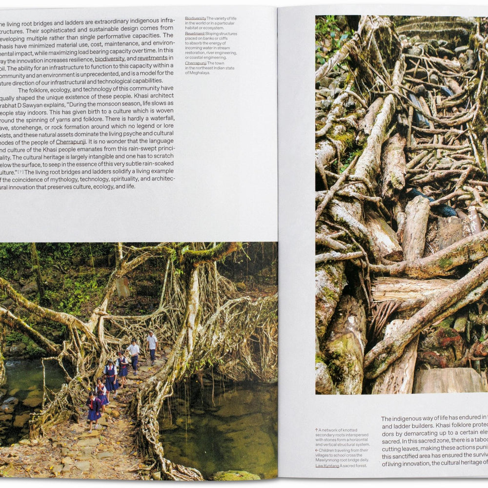 Julia Watson. Lo—TEK. Design by Radical Indigenism (English)