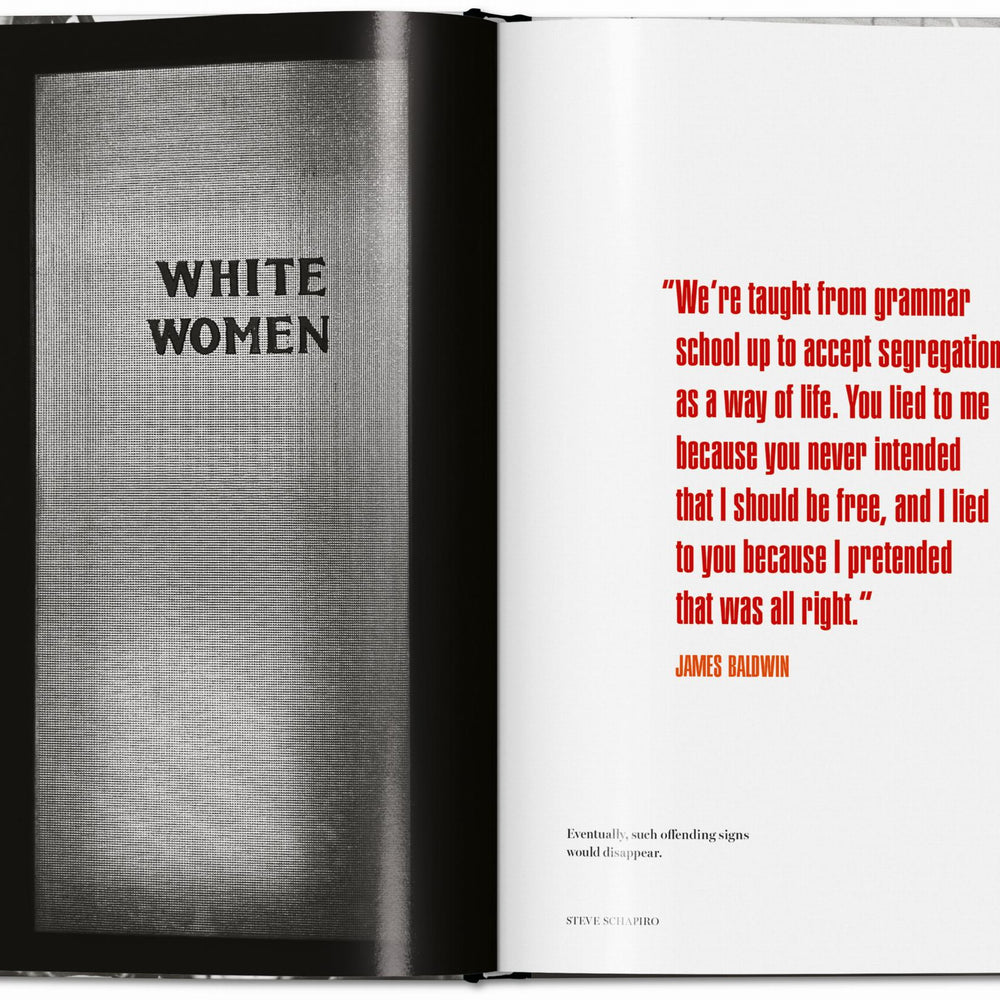 
                      
                        James Baldwin. Steve Schapiro. The Fire Next Time (English)
                      
                    
