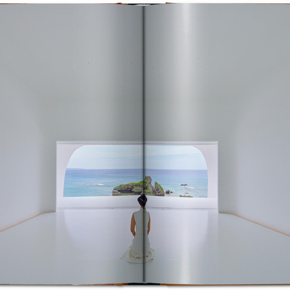 
                      
                        Homes for Our Time. Contemporary Houses around the World. Vol. 3 (German, French, English)
                      
                    