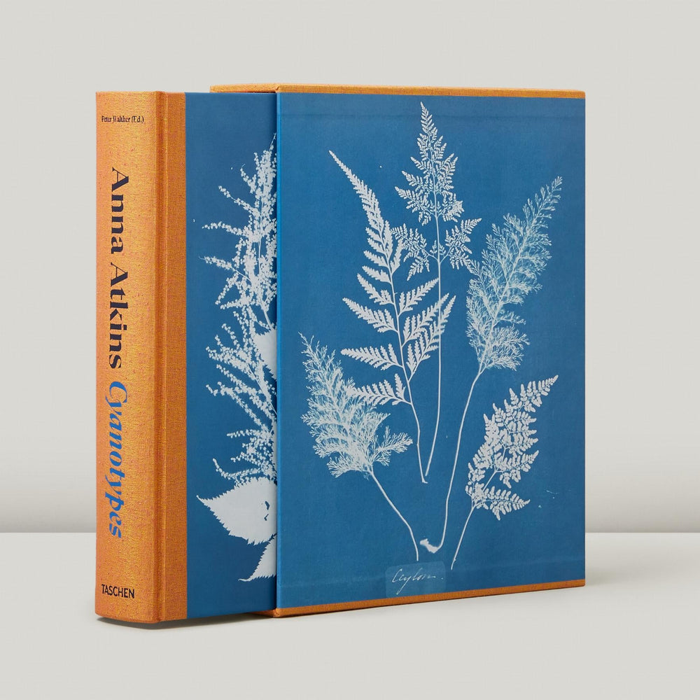 
                      
                        Anna Atkins. Cyanotypes (German, French, English) (FFE)
                      
                    
