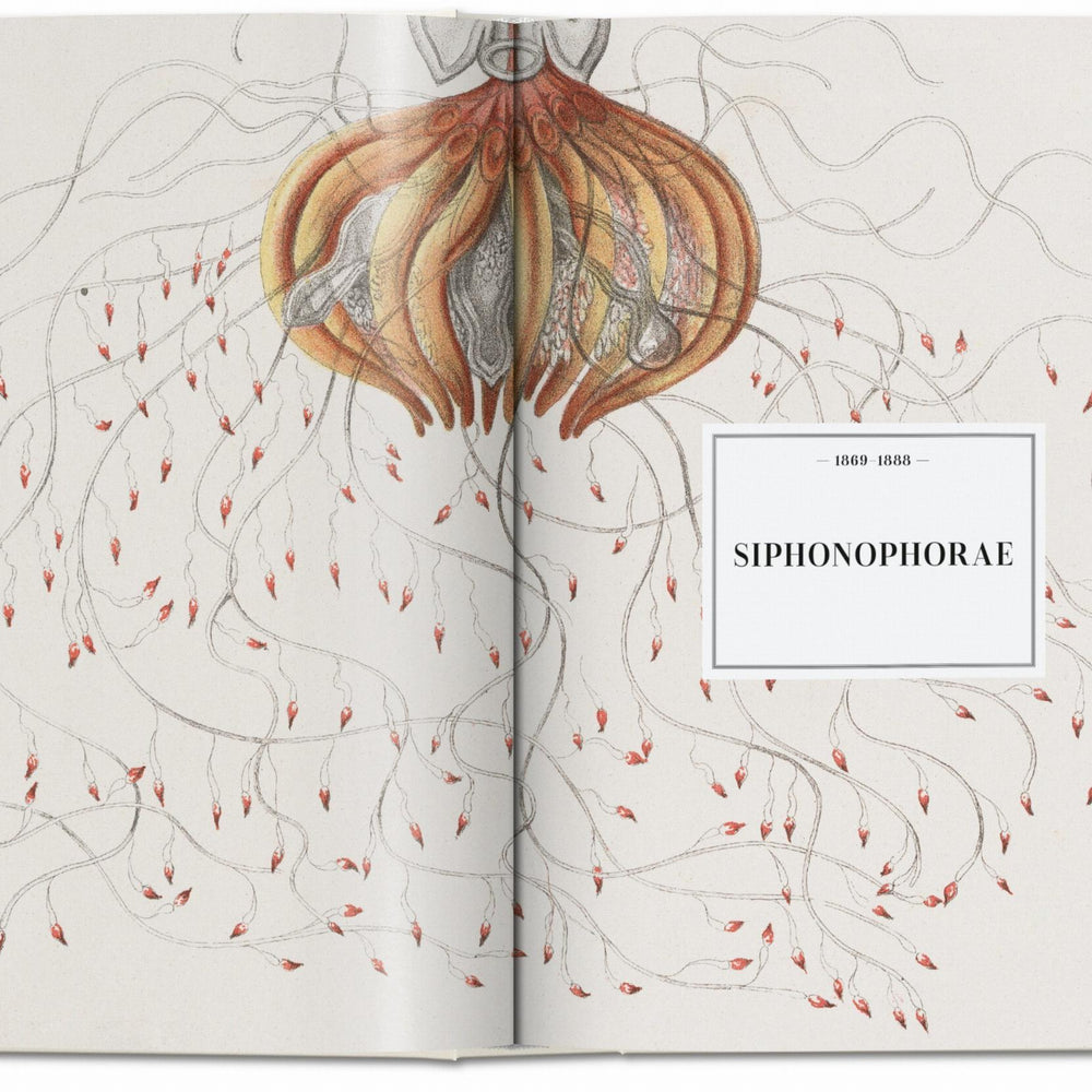 
                      
                        The Art and Science of Ernst Haeckel. 40th Ed. (English)
                      
                    