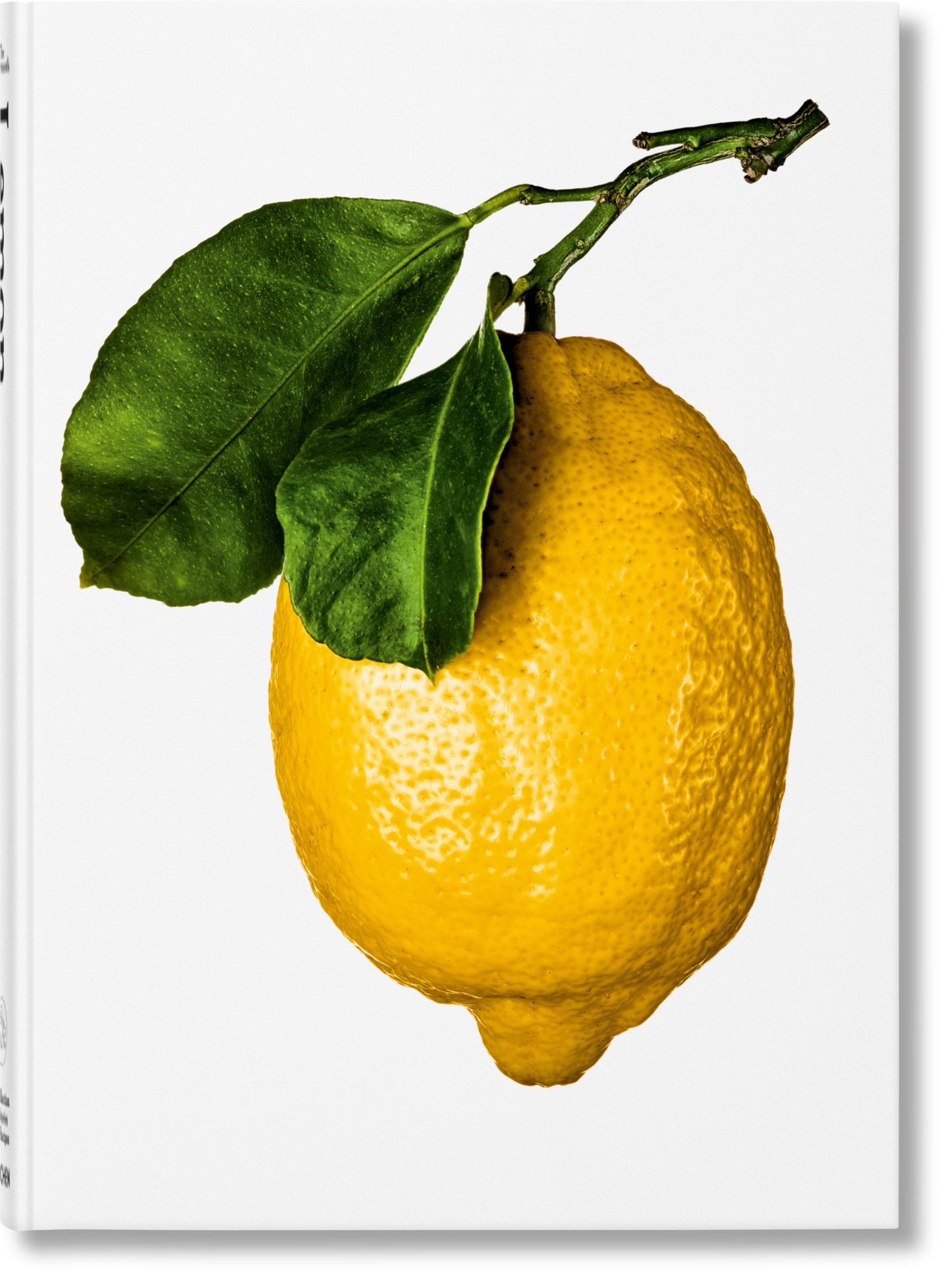 Colorful hardcover book, 'The Gourmand's Lemon,' with whimsical illustrations and recipes by TASCHEN