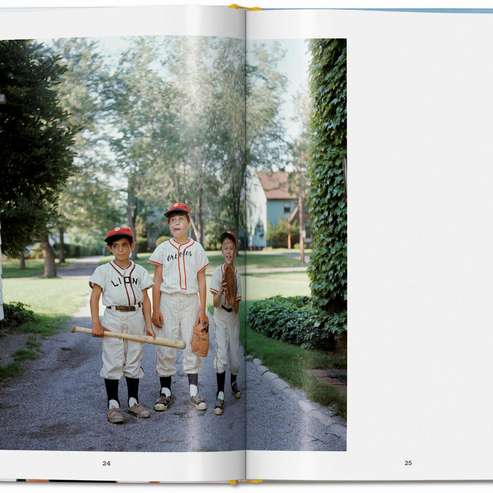 
                      
                        Midcentury Memories. The Anonymous Project (English)
                      
                    