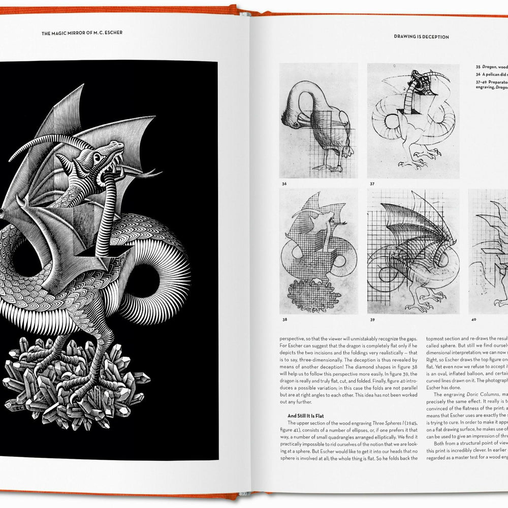 
                      
                        El espejo mágico de M.C. Escher (Spanish)
                      
                    