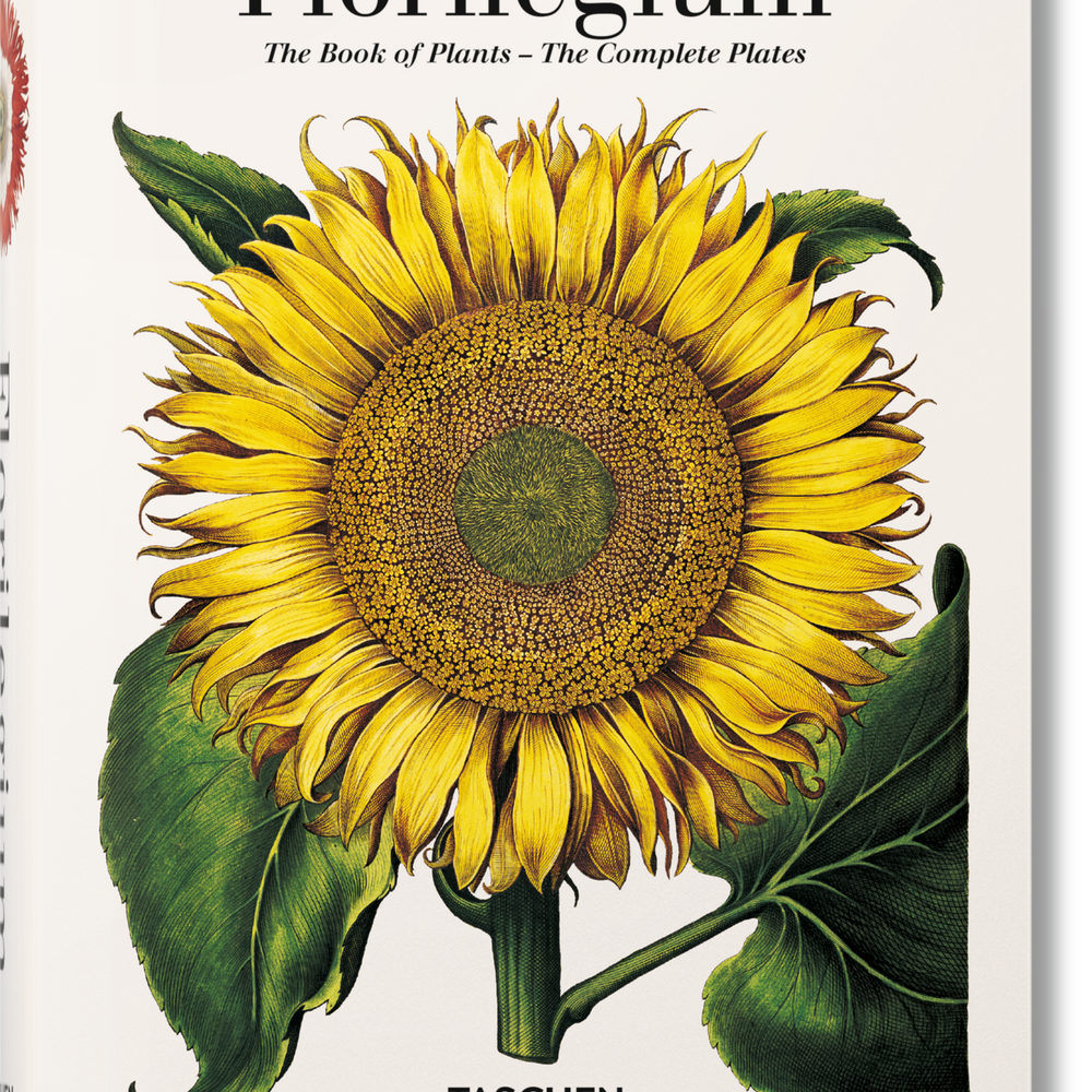 Basilius Besler. Florilegium. The Book of Plants (English)
