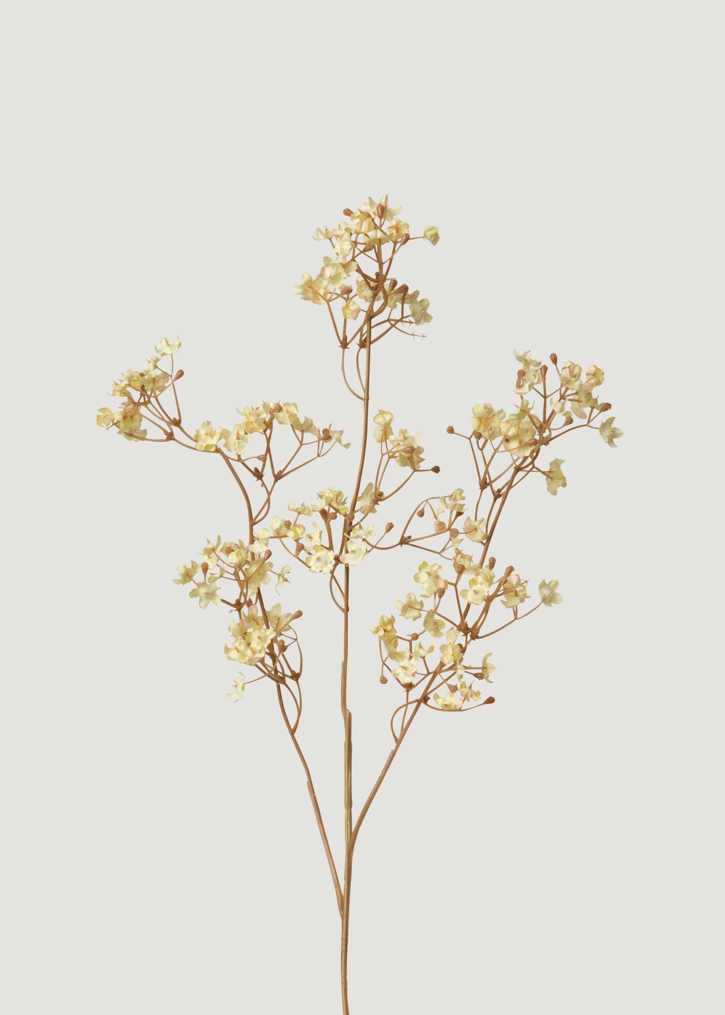 Cream artificial gypsophila wildflower branch, 22.75 inches, perfect for floral arrangements by Afloral.com