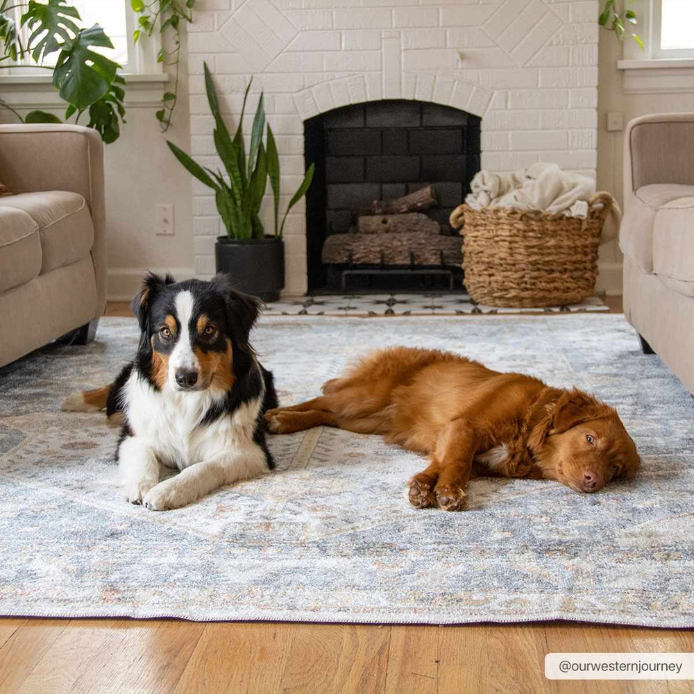 
                      
                        Afya Washable Area Rug
                      
                    