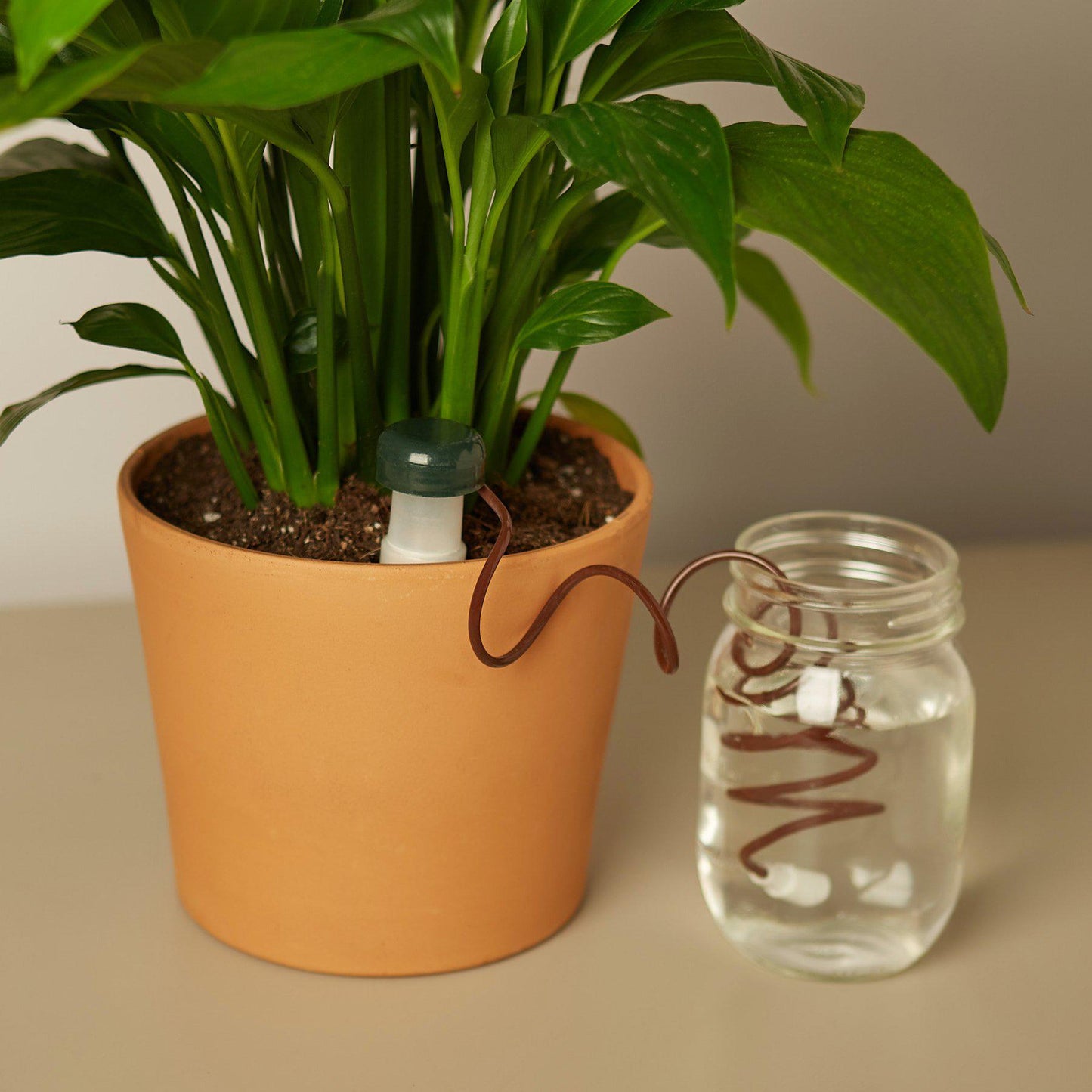 Automatic Plant Waterer