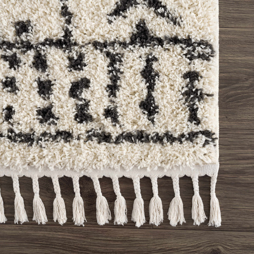 
                      
                        Hauppauge Plush Area Rug
                      
                    
